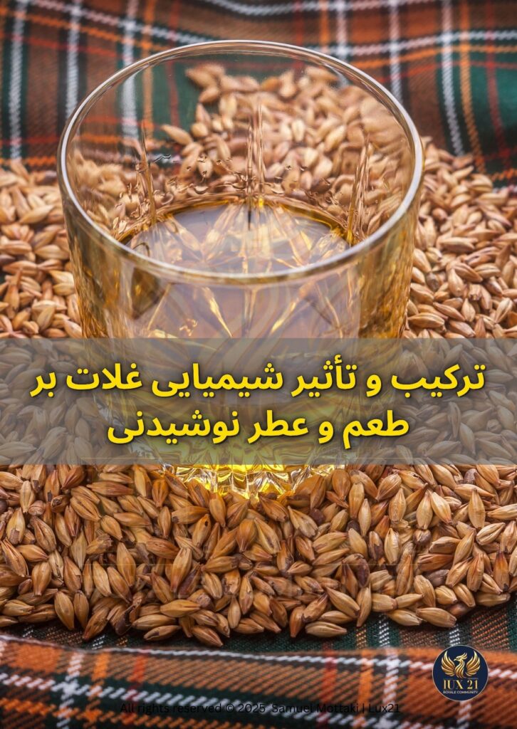 لیوانی از ویسکی طلایی روی بستری از دانه‌های جو و غلات، نمادی از پیوند میان طبیعت و نوشیدنی‌های دست‌ساز